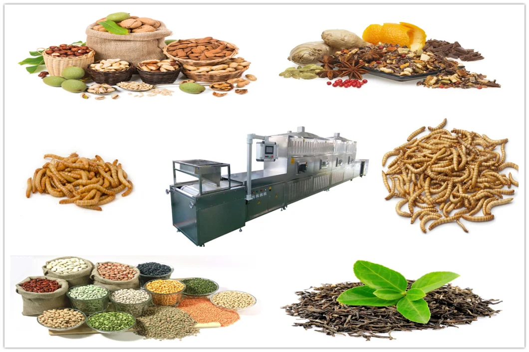 Chrysanthemum Tea Powder Red Dates Seasoning Powder Basil Leaves Cinnamon Sterilization Machine Flower Microwave Insecticidal Egg Equipment